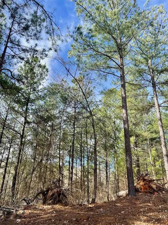 Photo 10 — 764 Timber Creek Trails South XI, Broken Bow, OK 74728