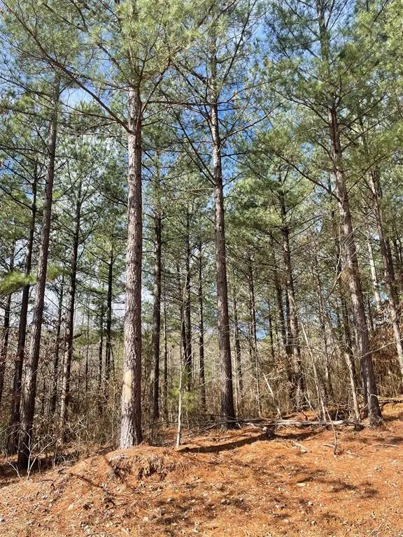 Photo 7 — 764 Timber Creek Trails South XI, Broken Bow, OK 74728