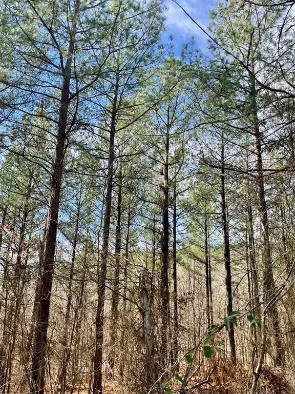 Photo 8 — 764 Timber Creek Trails South XI, Broken Bow, OK 74728