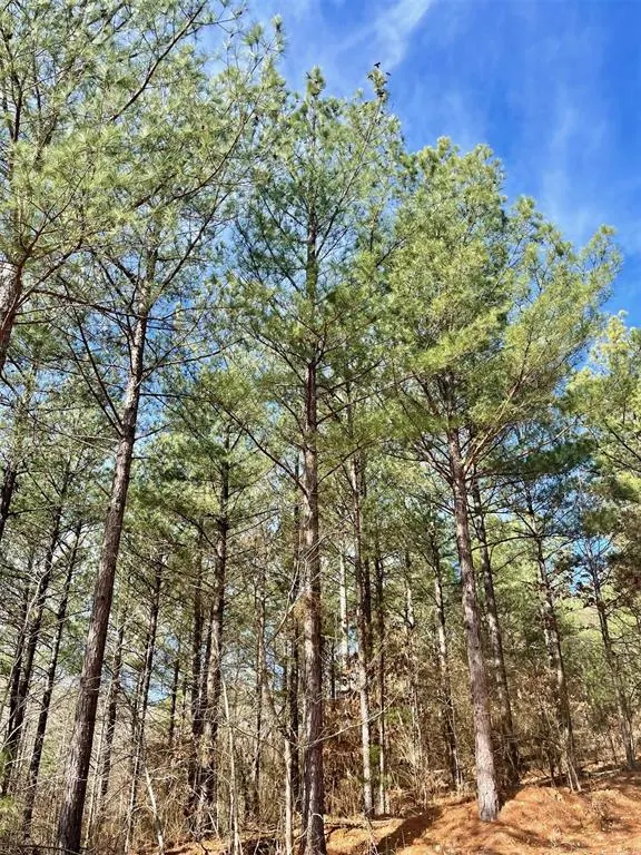 Photo 4 — 764 Timber Creek Trails South XI, Broken Bow, OK 74728