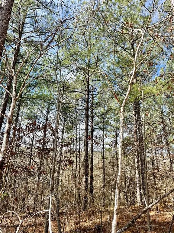 Photo 5 — 764 Timber Creek Trails South XI, Broken Bow, OK 74728
