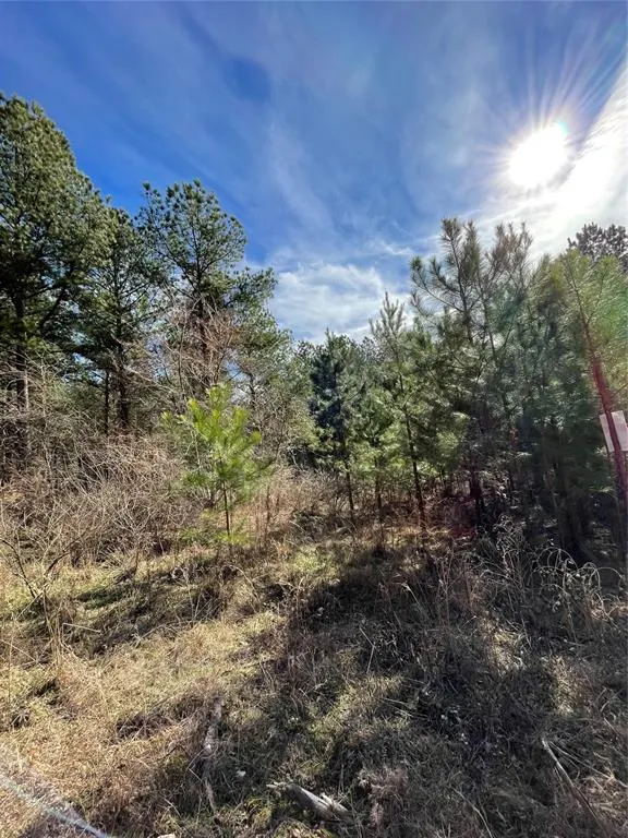 Photo 3 — 765 Timber Creek Trails South XI, Broken Bow, OK 74728