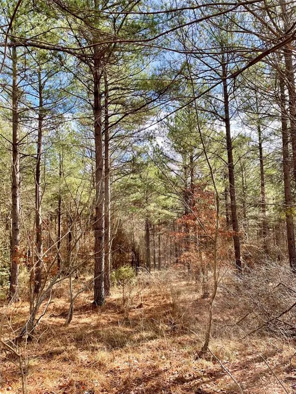Photo 3 — 766 Timber Creek Trails South XI, Broken Bow, OK 71842