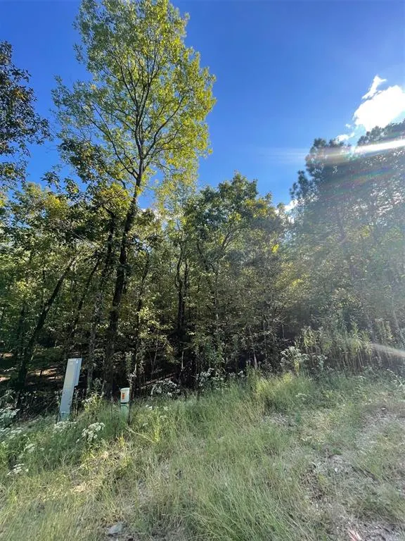 Photo 3 — 767 Timber Creek Trails South XI, Broken Bow, OK 74728