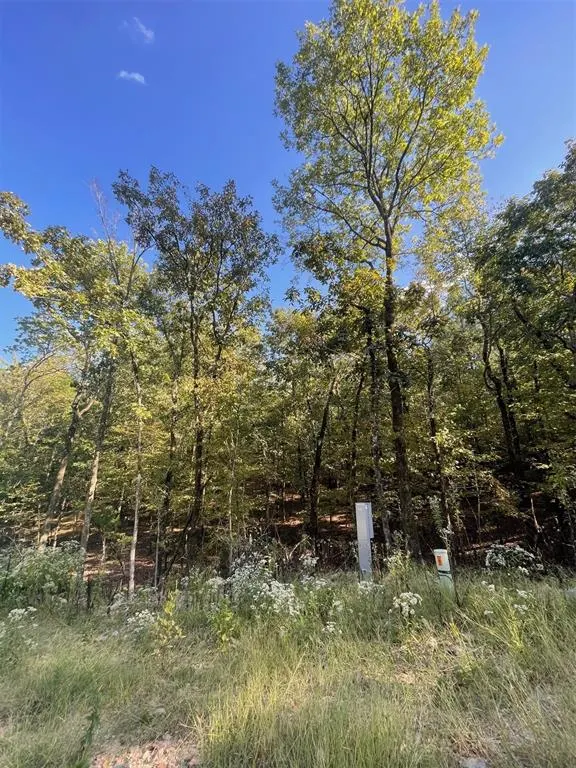 Photo 4 — 767 Timber Creek Trails South XI, Broken Bow, OK 74728