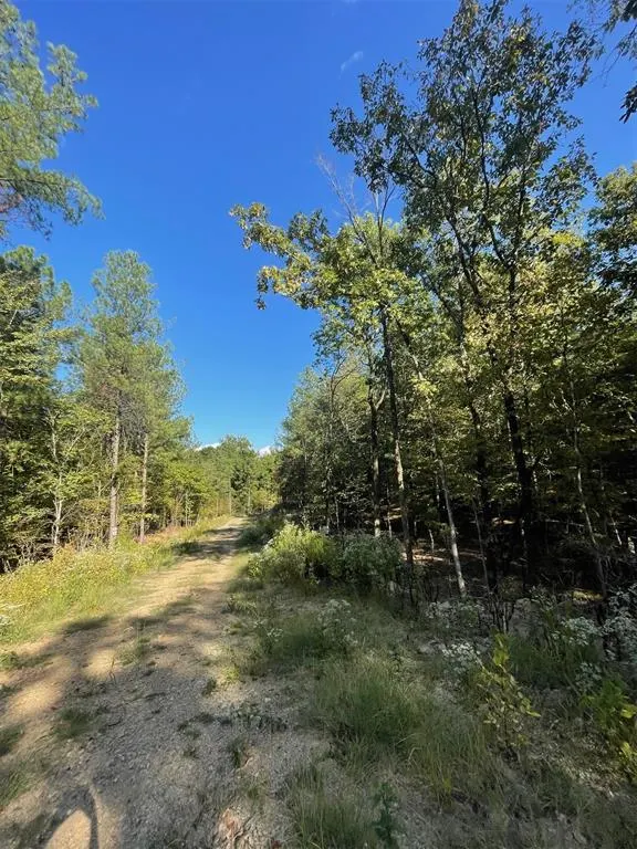 Photo 5 — 767 Timber Creek Trails South XI, Broken Bow, OK 74728