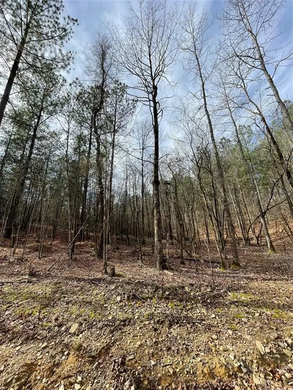 Photo 2 — 768 Timber Creek Trails South XI, Broken Bow, OK 74728