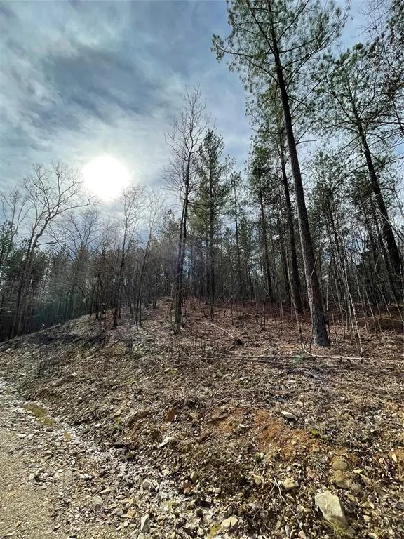 Photo 5 — 768 Timber Creek Trails South XI, Broken Bow, OK 74728