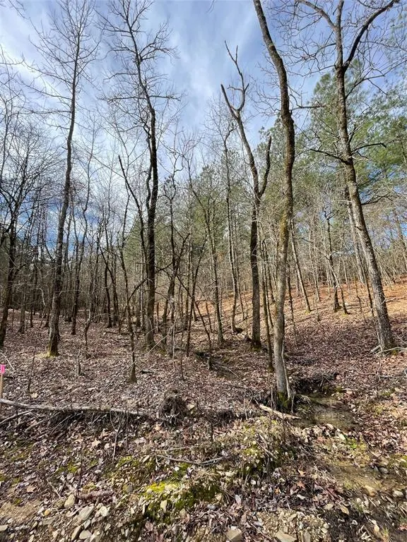 Photo 4 — 768 Timber Creek Trails South XI, Broken Bow, OK 74728