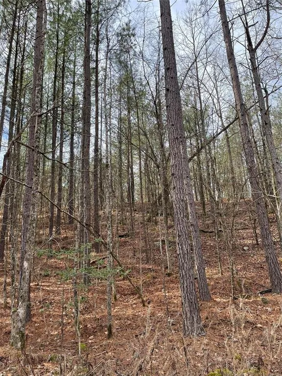 Photo 2 — 769 Timber Creek Trails South XI, Broken Bow, OK 74728