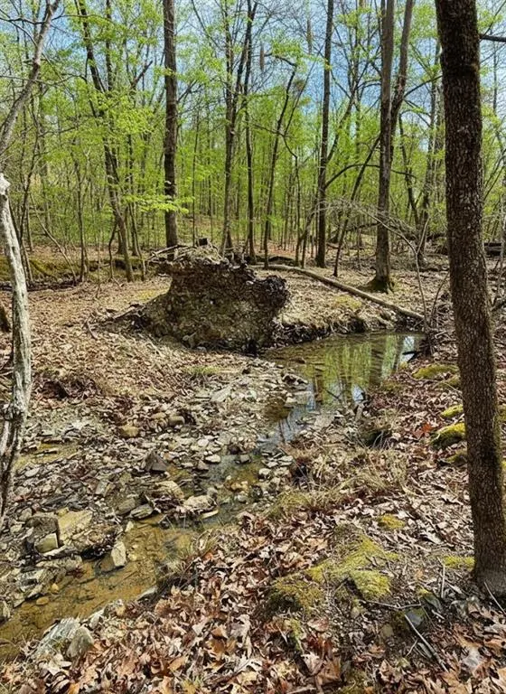 Photo 3 — 770 Timber Creek Trails South XI, Broken Bow, OK 74728