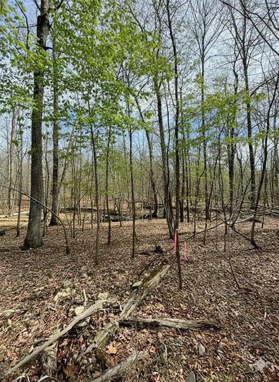 Photo 4 — 770 Timber Creek Trails South XI, Broken Bow, OK 74728