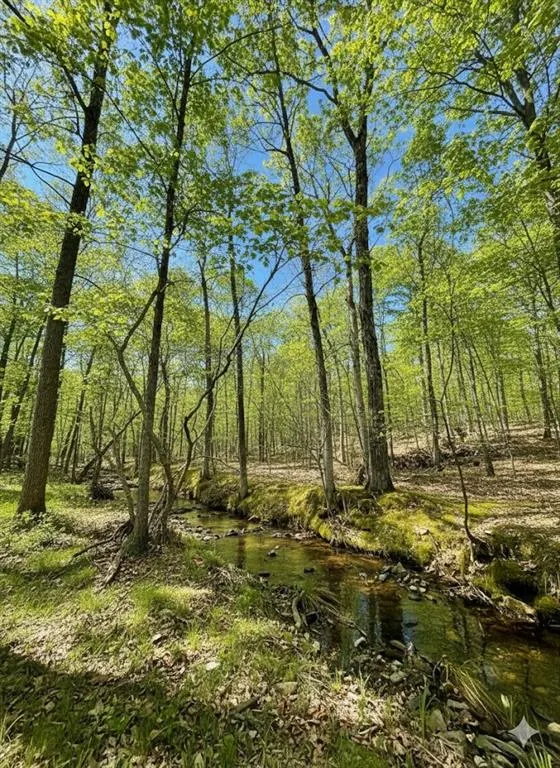 Photo 3 — 771 Timber Creek Trails South XI, Broken Bow, OK 74728