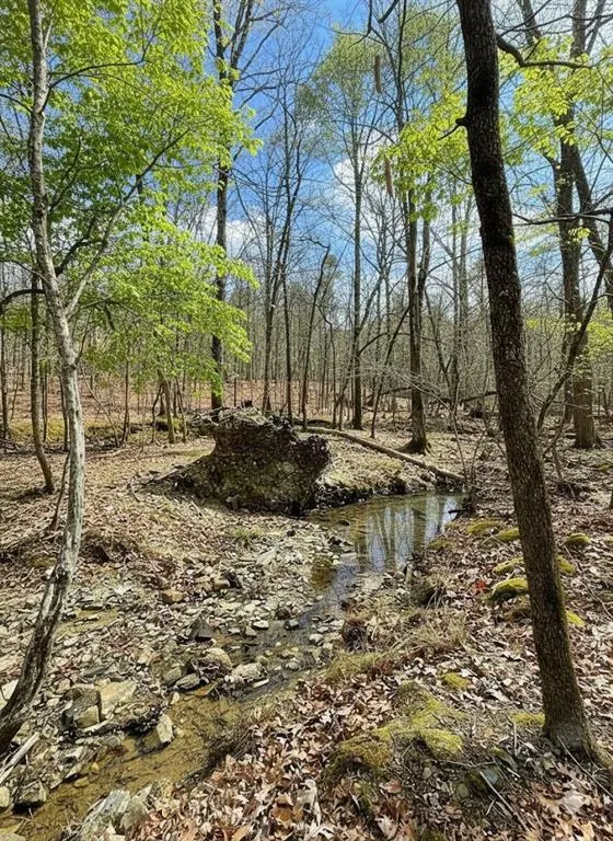 Photo 4 — 771 Timber Creek Trails South XI, Broken Bow, OK 74728