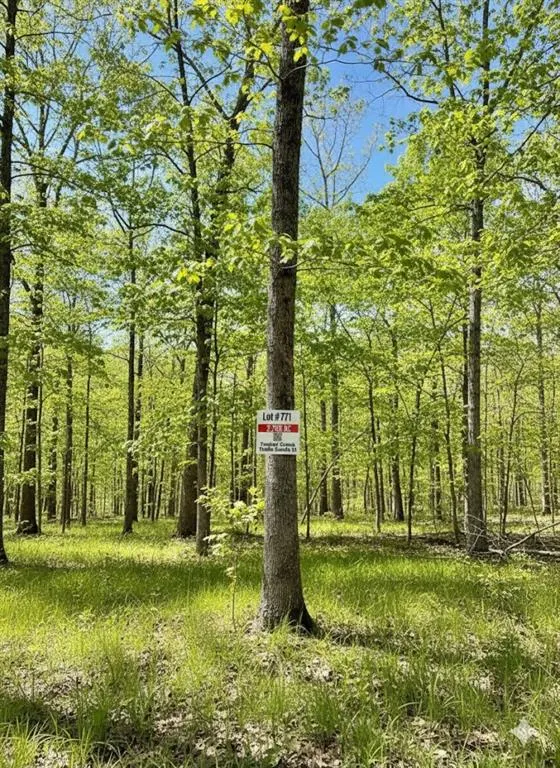 Photo 5 — 771 Timber Creek Trails South XI, Broken Bow, OK 74728