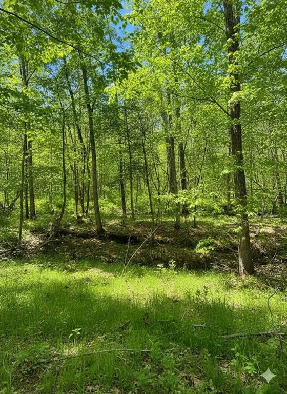Photo 6 — 771 Timber Creek Trails South XI, Broken Bow, OK 74728