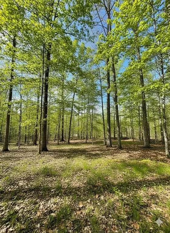 Photo 8 — 771 Timber Creek Trails South XI, Broken Bow, OK 74728