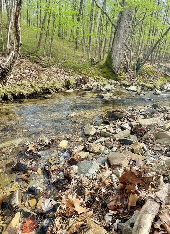 Photo 2 — 772 Timber Creek Trails South XI, Broken Bow, OK 74728
