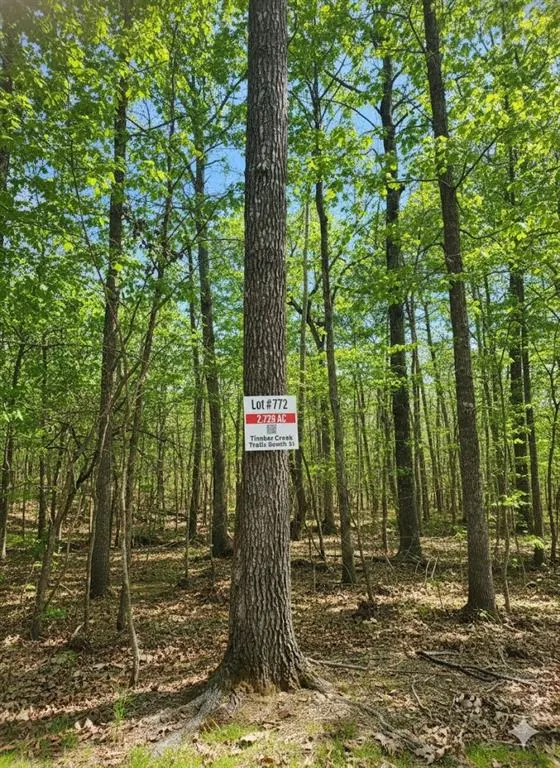 Photo 3 — 772 Timber Creek Trails South XI, Broken Bow, OK 74728