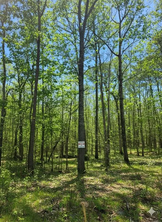 Photo 4 — 772 Timber Creek Trails South XI, Broken Bow, OK 74728
