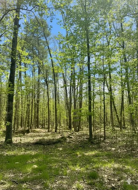 Photo 5 — 772 Timber Creek Trails South XI, Broken Bow, OK 74728