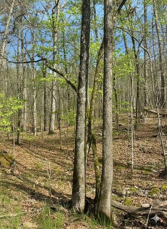 Photo 7 — 772 Timber Creek Trails South XI, Broken Bow, OK 74728