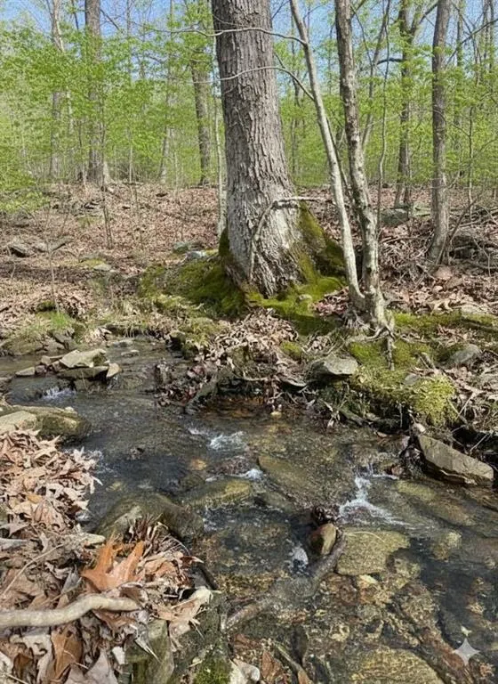 Photo 10 — 772 Timber Creek Trails South XI, Broken Bow, OK 74728