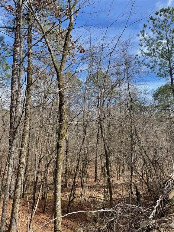 Photo 3 — 773 Timber Creek Trails South XI, Broken Bow, OK 74728