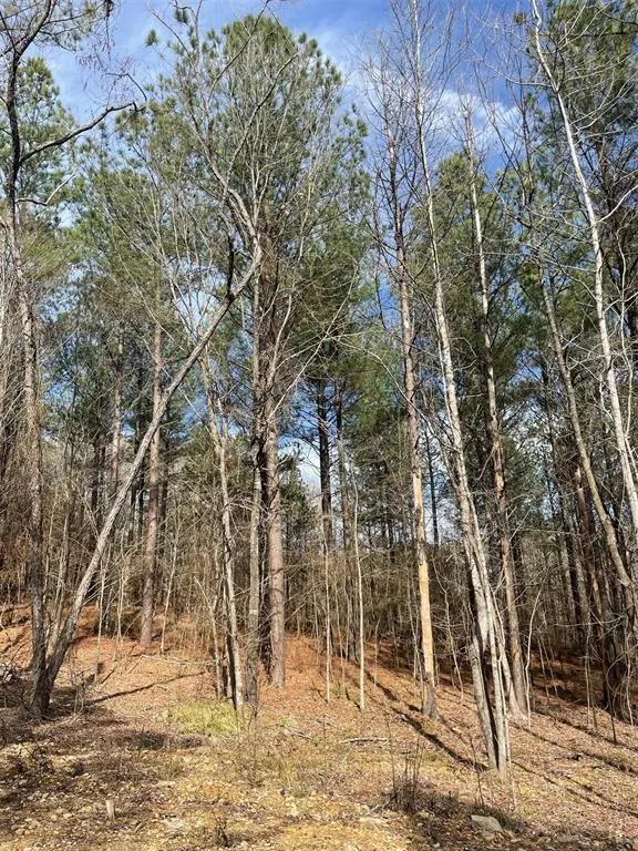 Photo 3 — 774 Timber Creek Trails South XI, Broken Bow, OK 74728