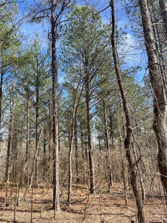 Photo 5 — 774 Timber Creek Trails South XI, Broken Bow, OK 74728