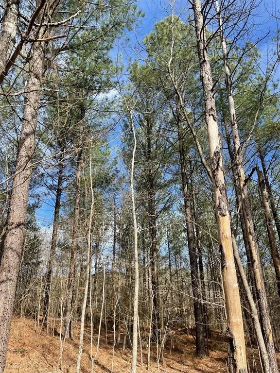 Photo 4 — 774 Timber Creek Trails South XI, Broken Bow, OK 74728