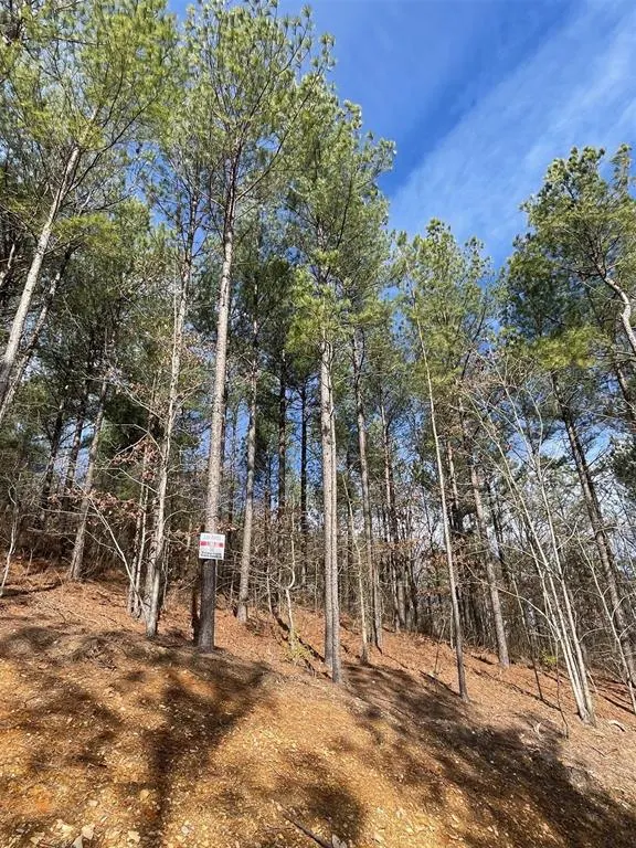 Photo 3 — 775 Timber Creek Trails South XI, Broken Bow, OK 74728