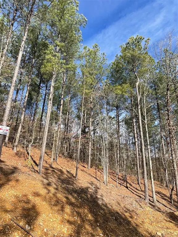 Photo 4 — 775 Timber Creek Trails South XI, Broken Bow, OK 74728