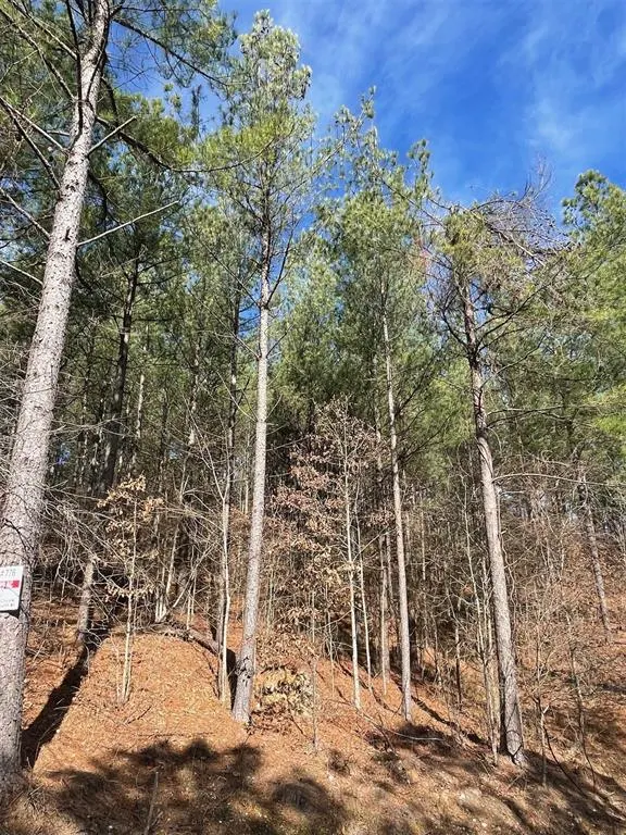 Photo 5 — 776 Timber Creek Trails South XI, Broken Bow, OK 74728