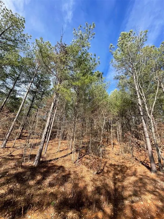 Photo 3 — 776 Timber Creek Trails South XI, Broken Bow, OK 74728