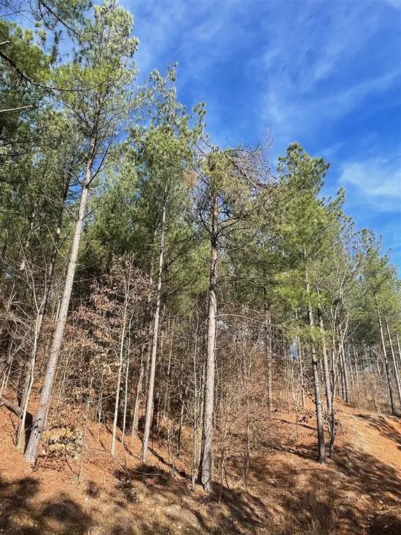 Photo 4 — 776 Timber Creek Trails South XI, Broken Bow, OK 74728