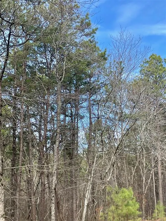 Photo 2 — 777 Timber Creek Trails South XI, Broken Bow, OK 74728