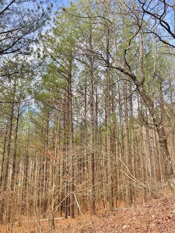 Photo 3 — 777 Timber Creek Trails South XI, Broken Bow, OK 74728