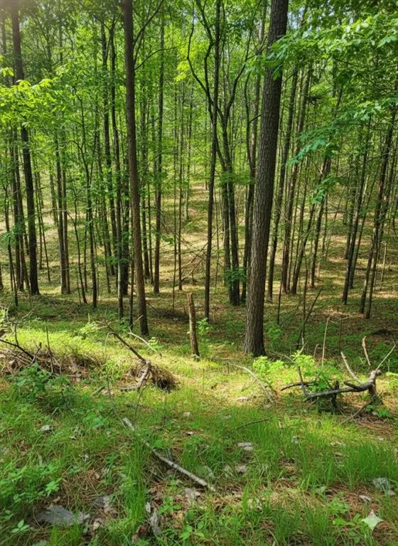 Photo 3 — 778 Timber Creek Trail South XI, Broken Bow, OK 74728