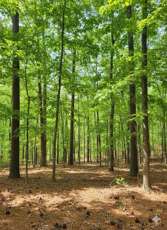 Photo 4 — 778 Timber Creek Trail South XI, Broken Bow, OK 74728