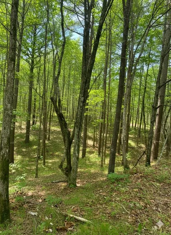 Photo 5 — 778 Timber Creek Trail South XI, Broken Bow, OK 74728