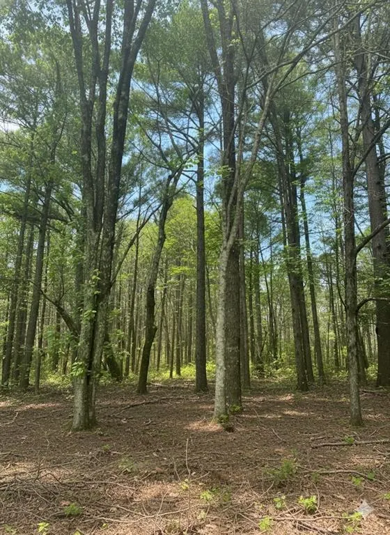 Photo 6 — 778 Timber Creek Trail South XI, Broken Bow, OK 74728