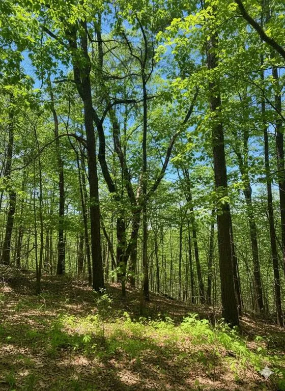 Photo 7 — 778 Timber Creek Trail South XI, Broken Bow, OK 74728