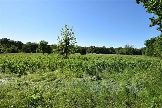 Photo 6 — Highway 99 Highway, Seminole, OK 74868