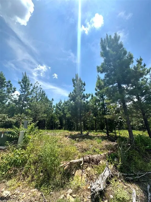 Photo 4 — 136 Charmed Ridge Lane, Broken Bow, OK 74728