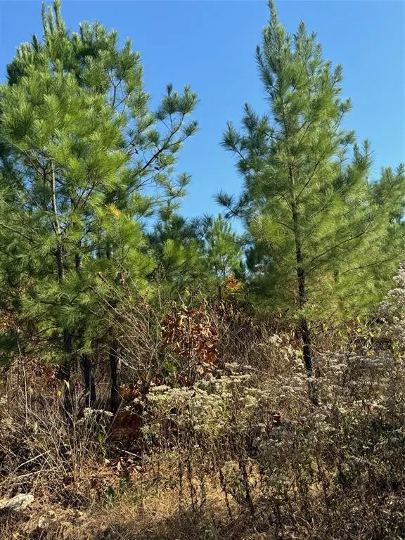 Photo 7 — 136 Charmed Ridge Lane, Broken Bow, OK 74728