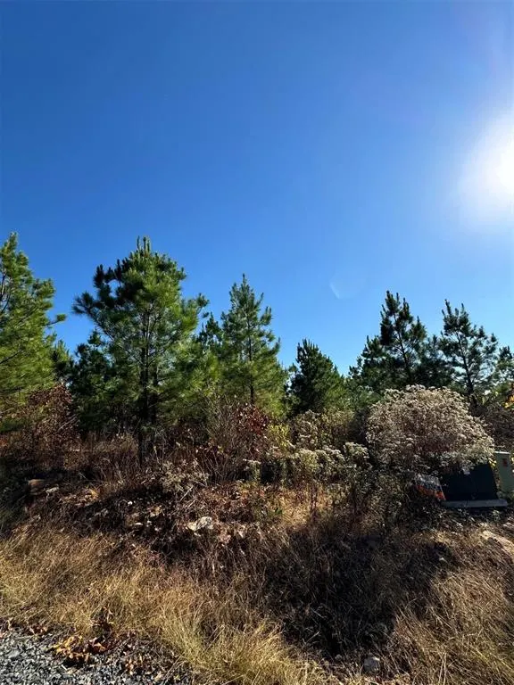 Photo 6 — 136 Charmed Ridge Lane, Broken Bow, OK 74728