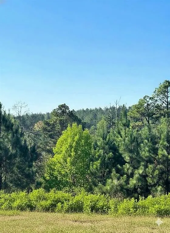 Front exterior — 136 Charmed Ridge Lane, Broken Bow, OK 74728