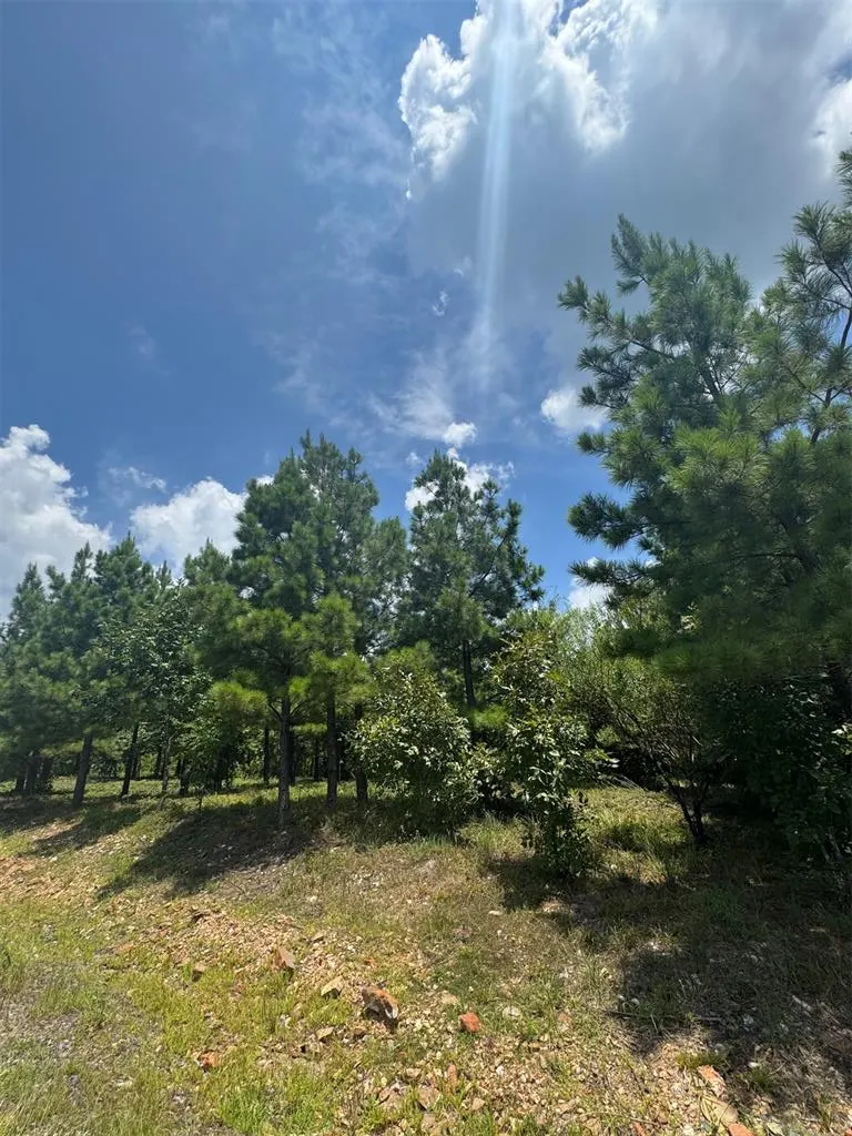 Photo 3 — 20 Charmed Ridge Lane, Broken Bow, OK 74728