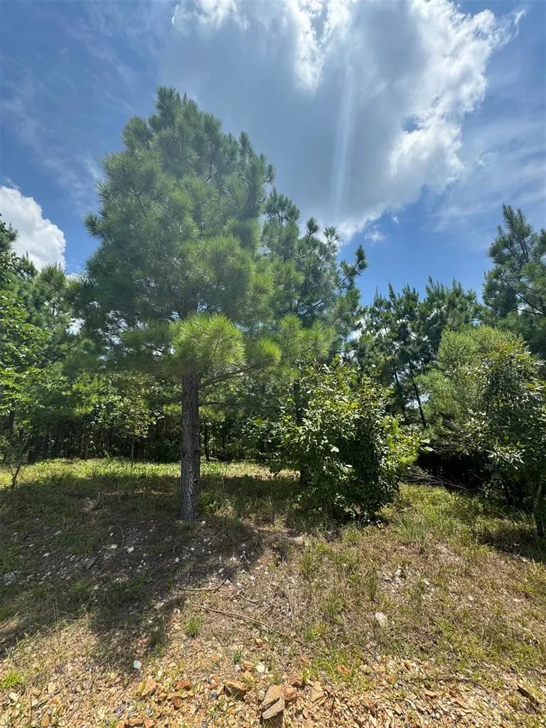 Photo 4 — 20 Charmed Ridge Lane, Broken Bow, OK 74728